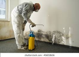 Best Water Damage & Mold Remediation  in Quantico Base, VA